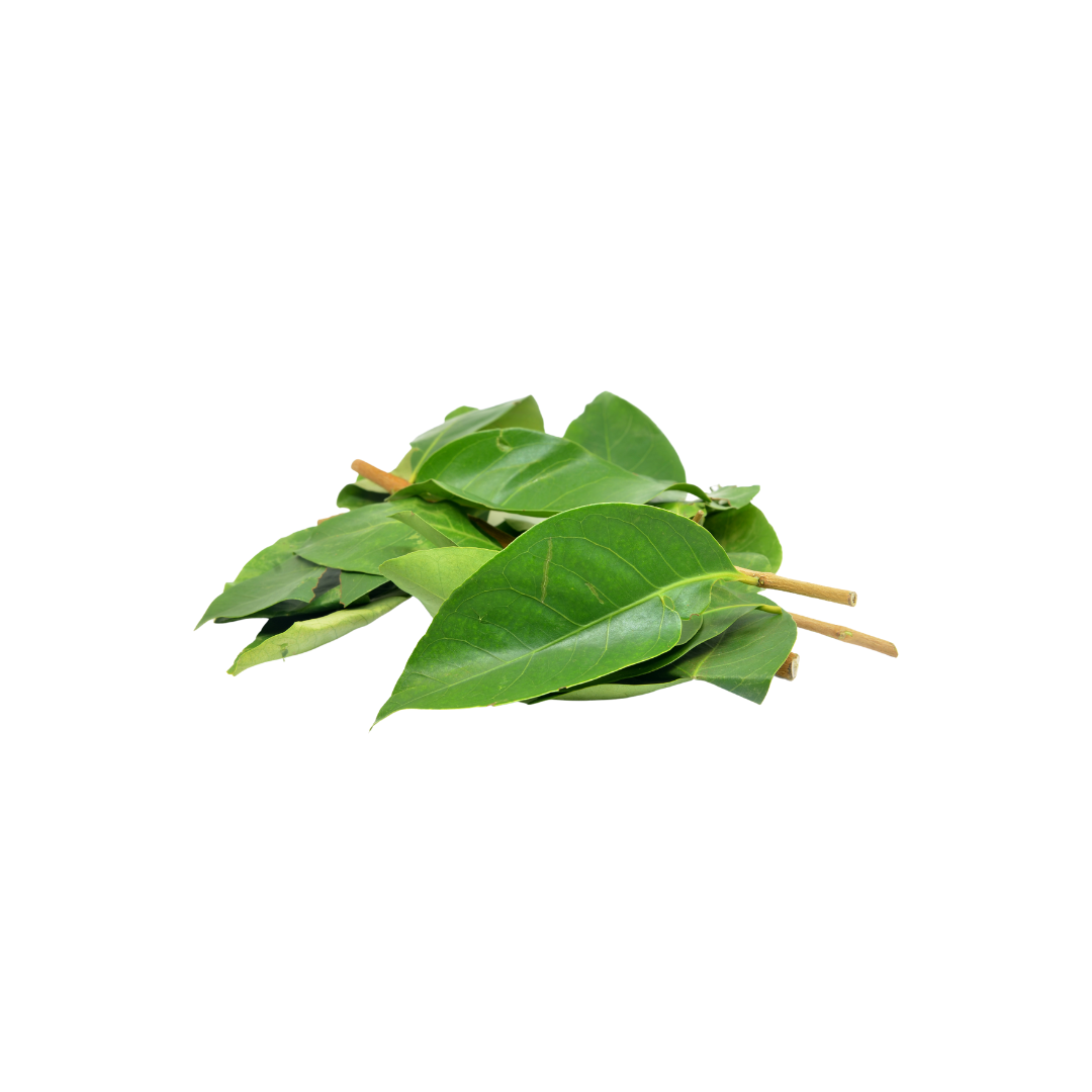 Organic Bay Leaf