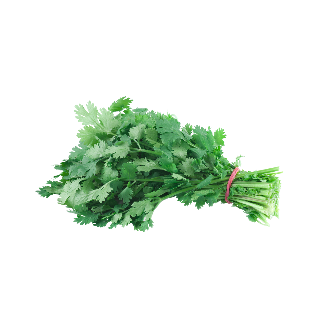 Organic Cilantro