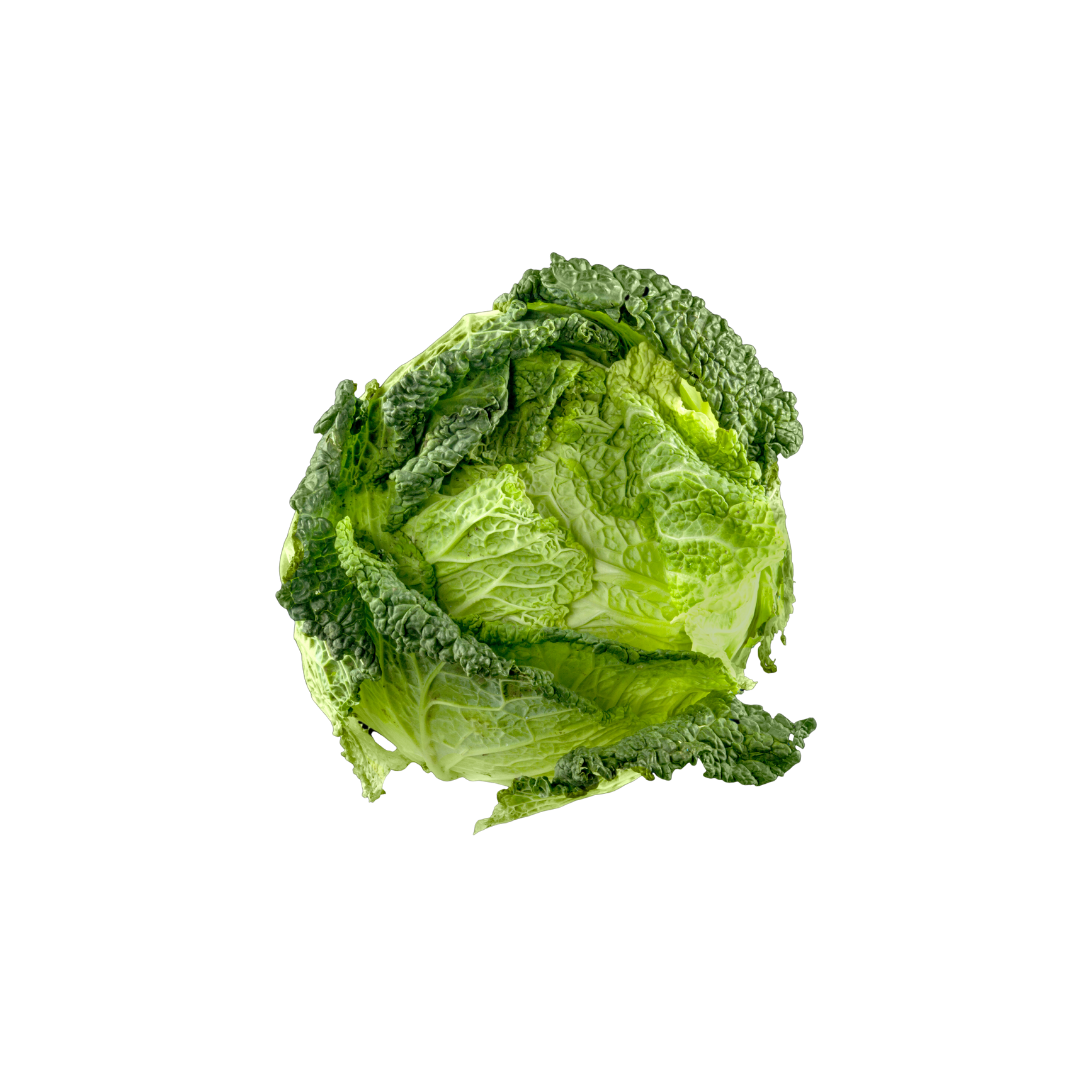 Organic Green Cabbage