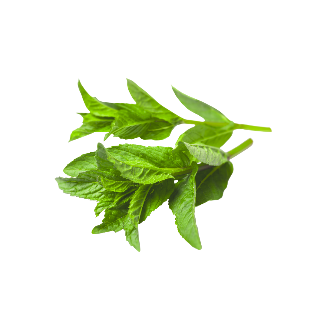 Organic Mint