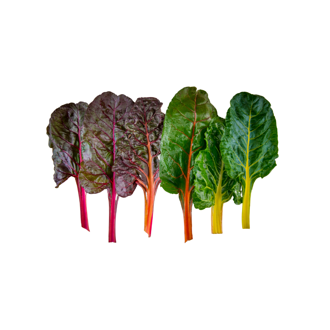 Organic Rainbow Chard