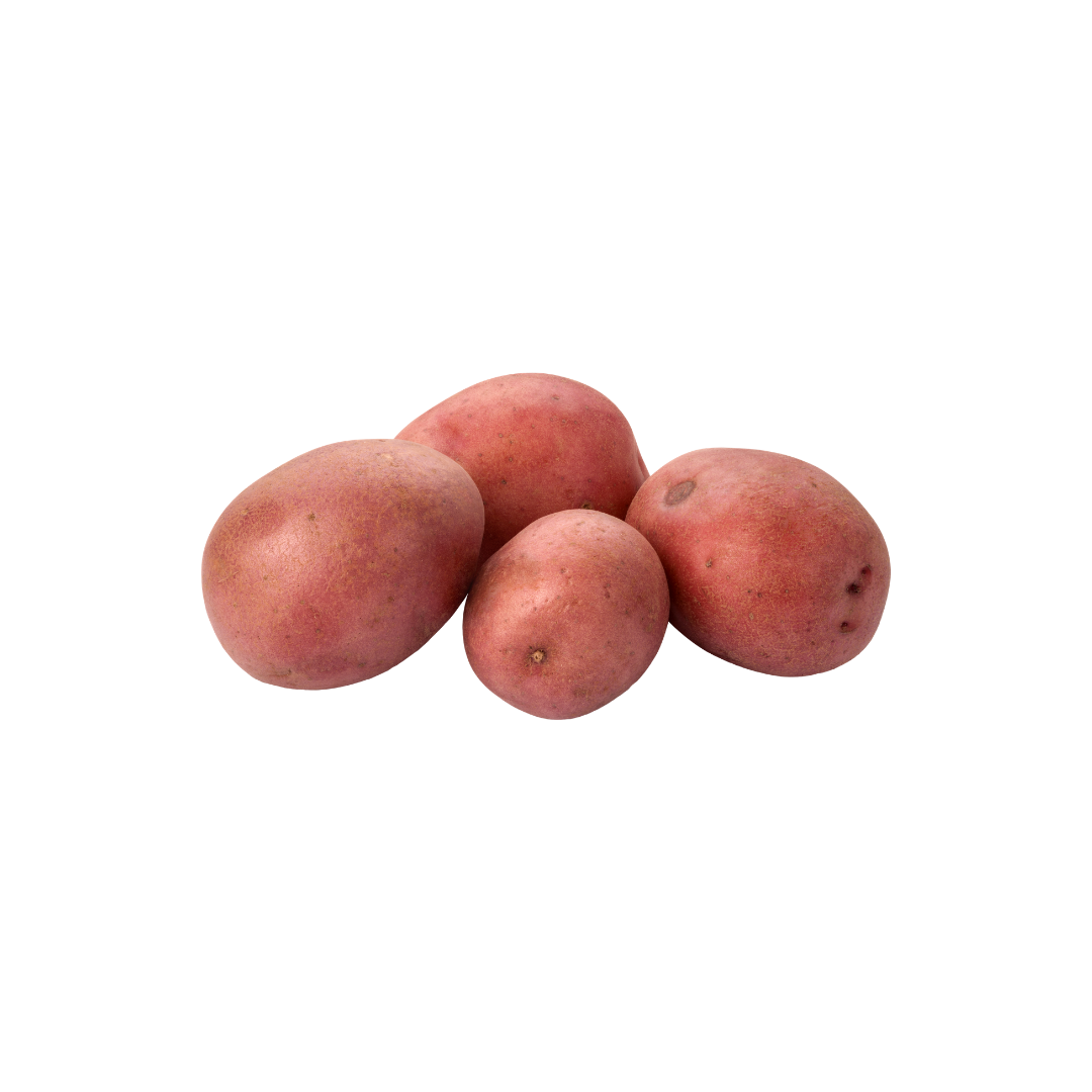 Organic Red Potato