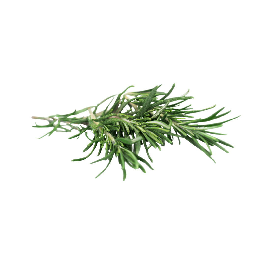 Organic Rosemary