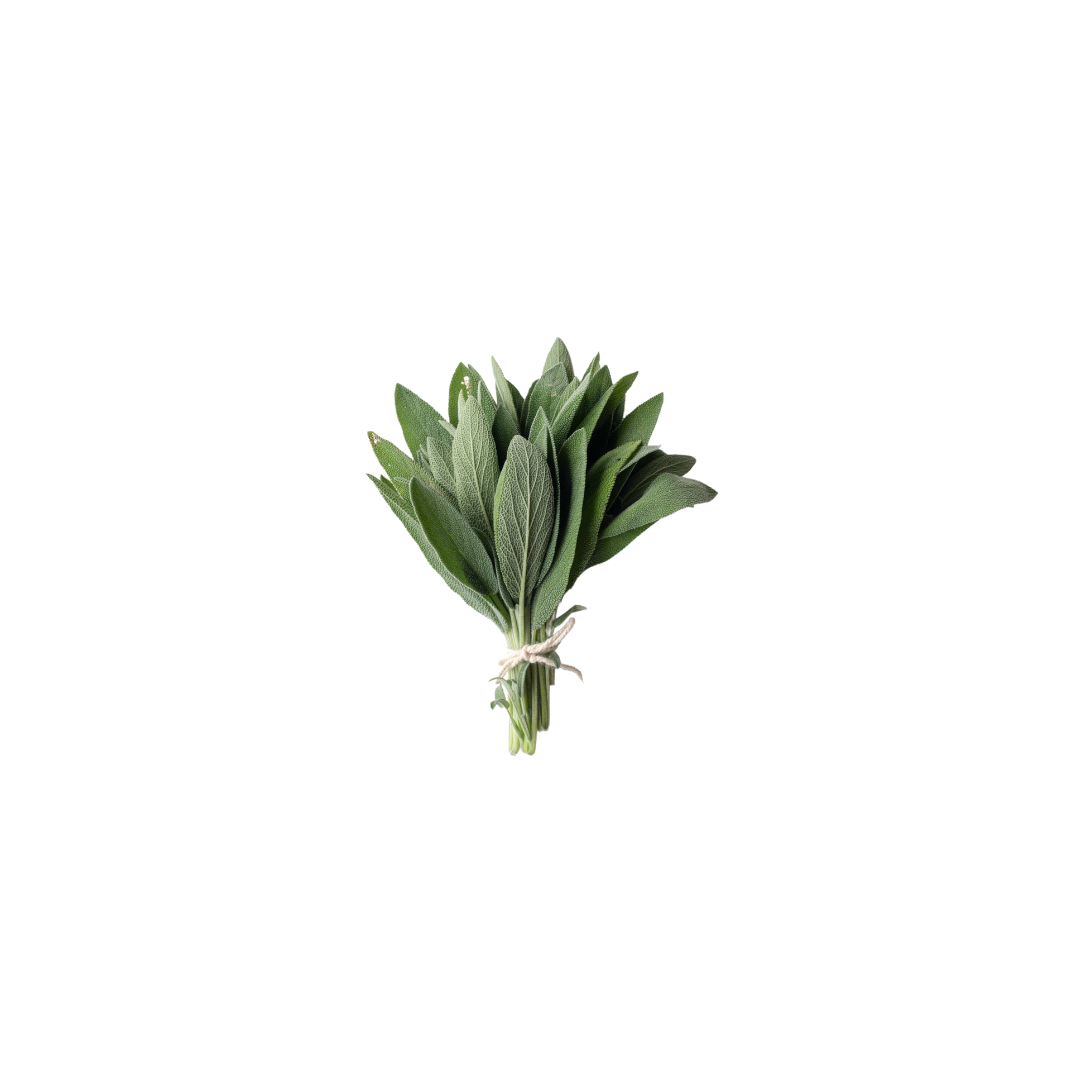 Organic Sage