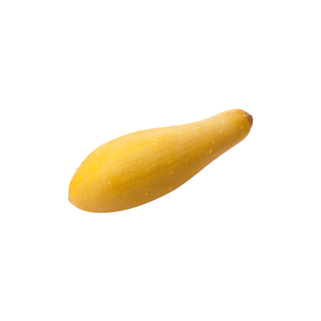 Organic Yellow Squash