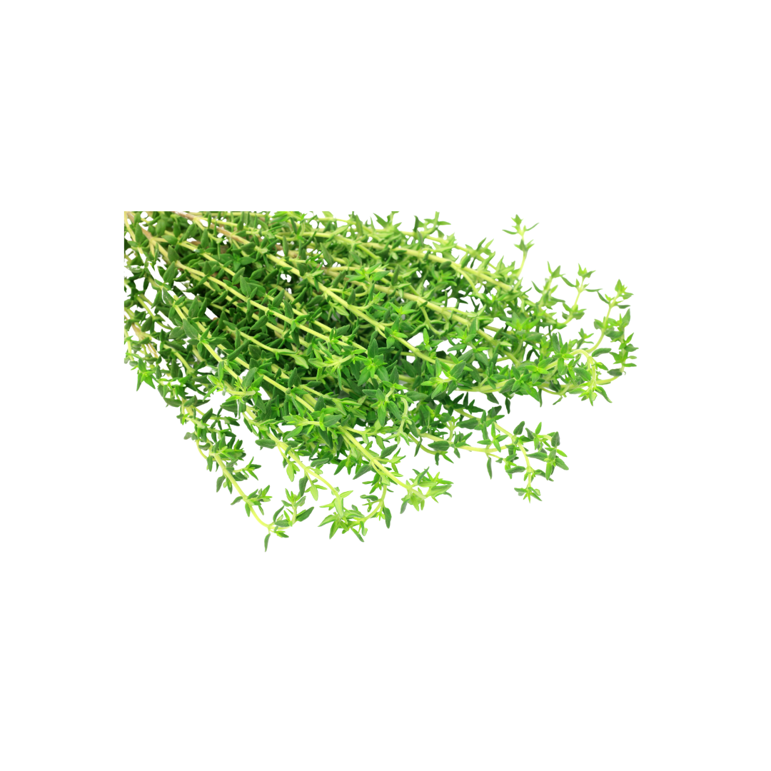 Organic Thyme