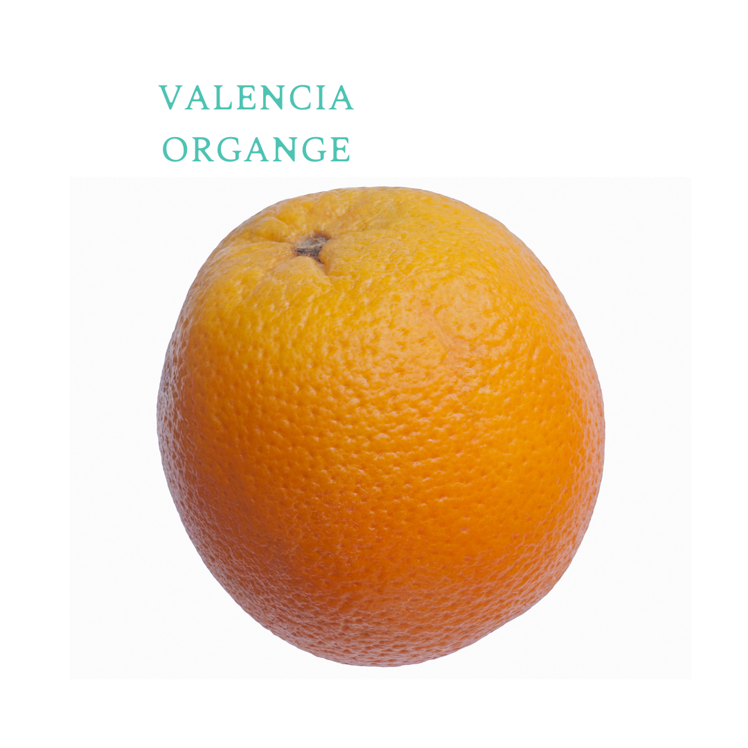 Organic Orange Valencia