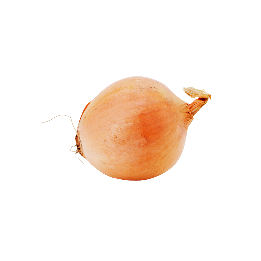 Organic Onions yellow