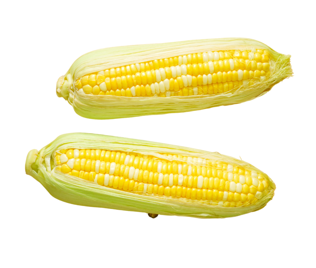 Organic Bi-color Corn