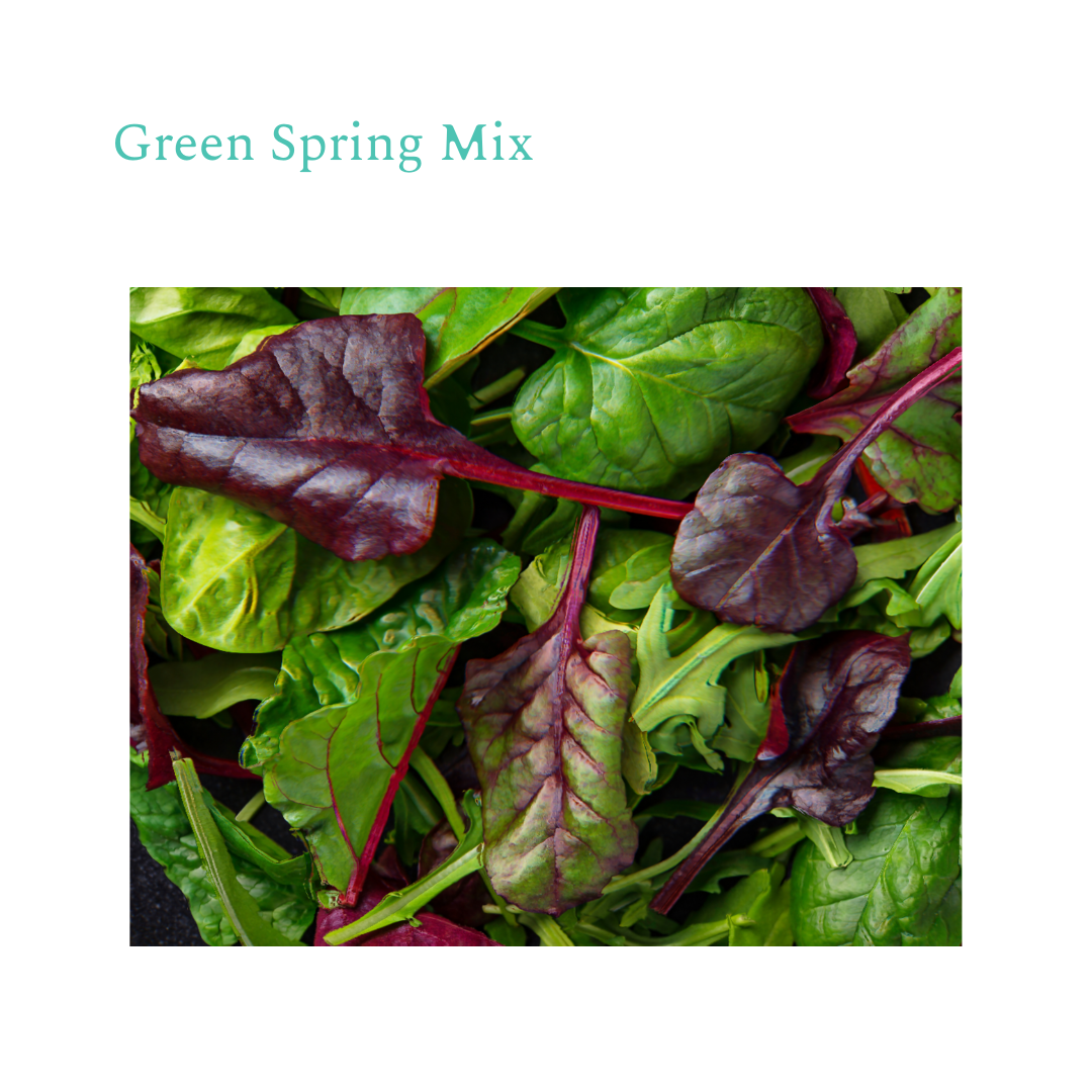 Organic Green Spring Mix