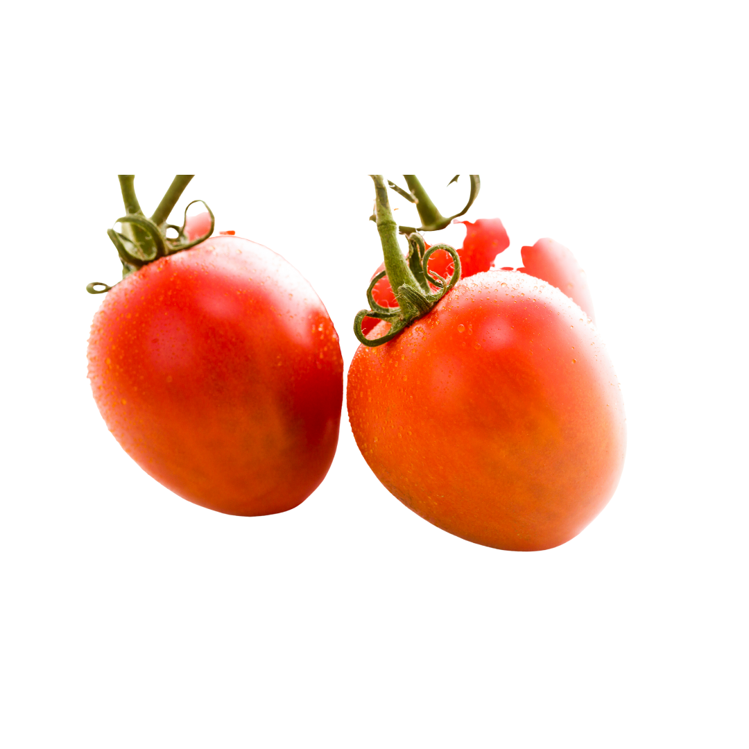 Organic Roma/Plum Tomato