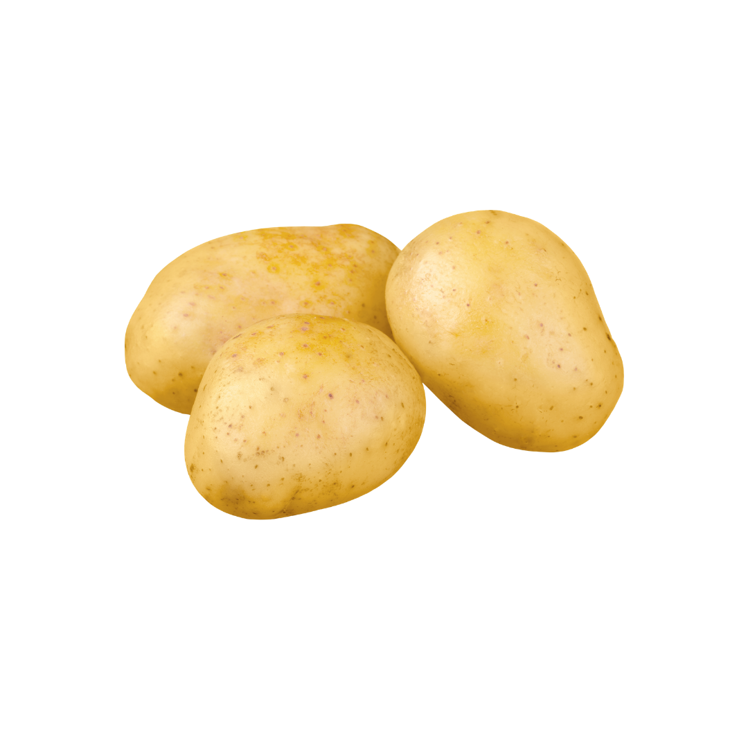 Organic Yukon Gold Potato
